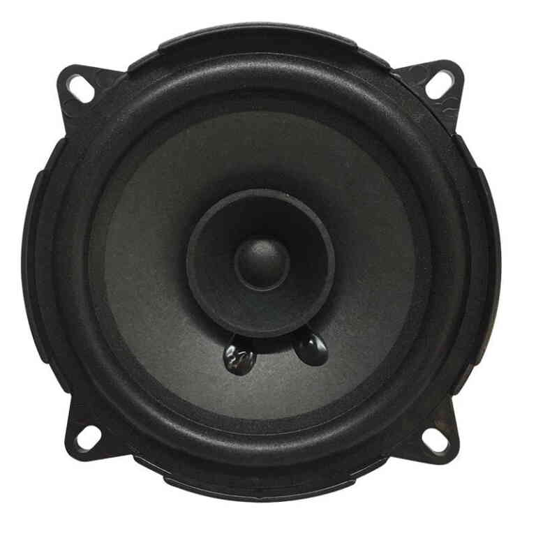 Powermaster PW-13/100 4 Ohm 100 Watt 13 Cm Tekli Hoparlör